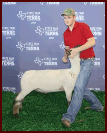 Indiana State Fair Champion Shropshire